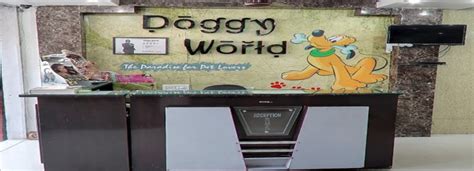 doggy world rohini|dr pandey doggy world.